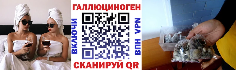 Галлюциногенные грибы Cubensis  где найти наркотики  гидра ссылки  Адыгейск 